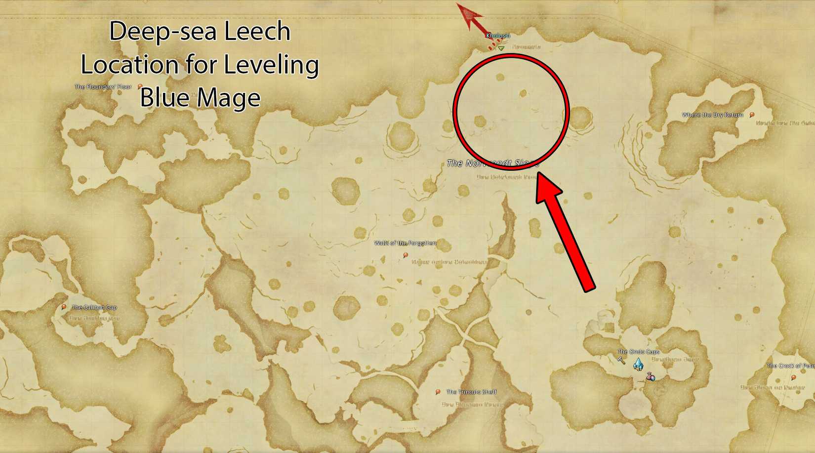 A map of The Tempest in Final Fantasy 14, with the location of Deep-sea Leeches circled in red.