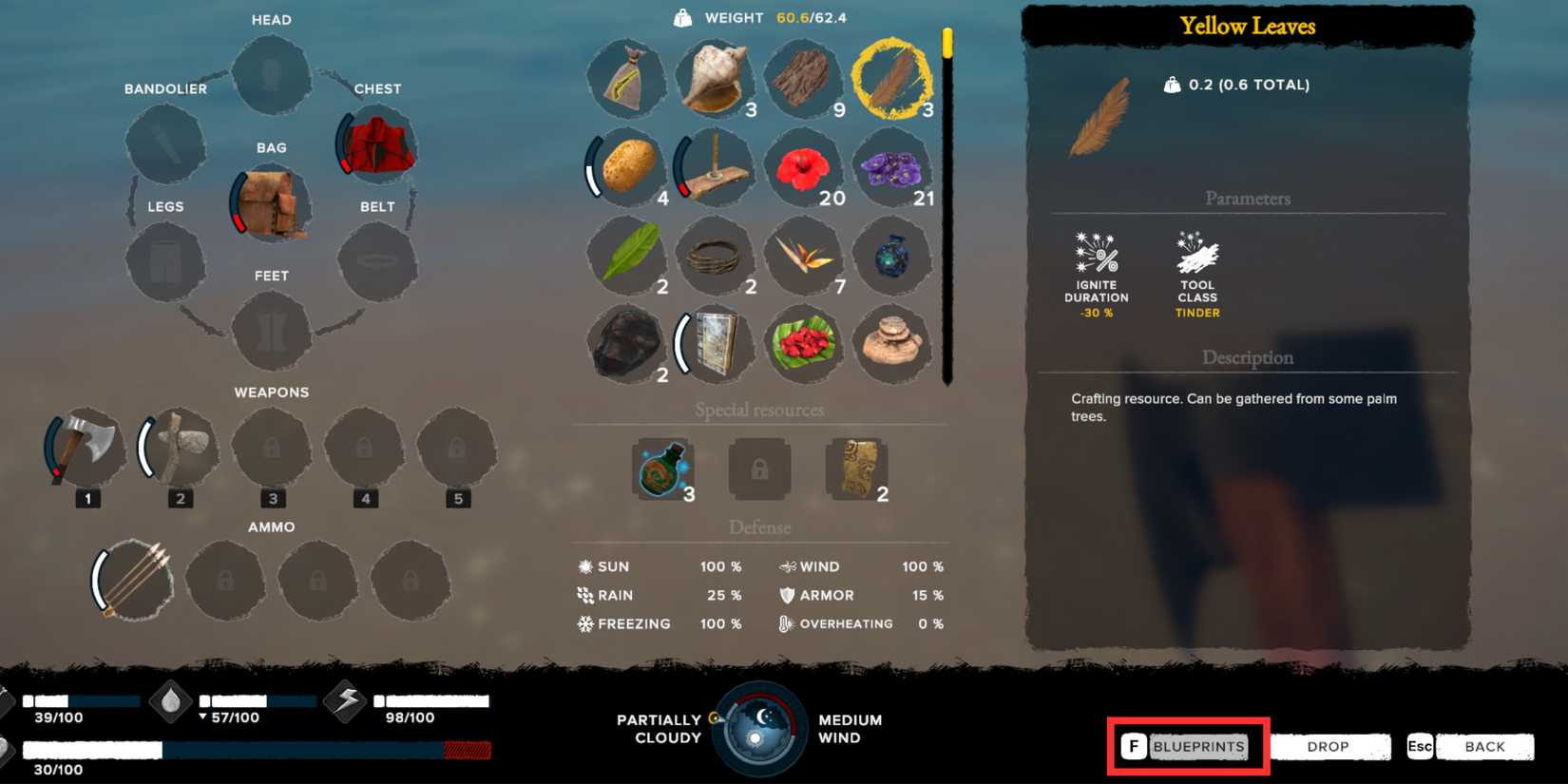 blueprints in survival fountain of youth