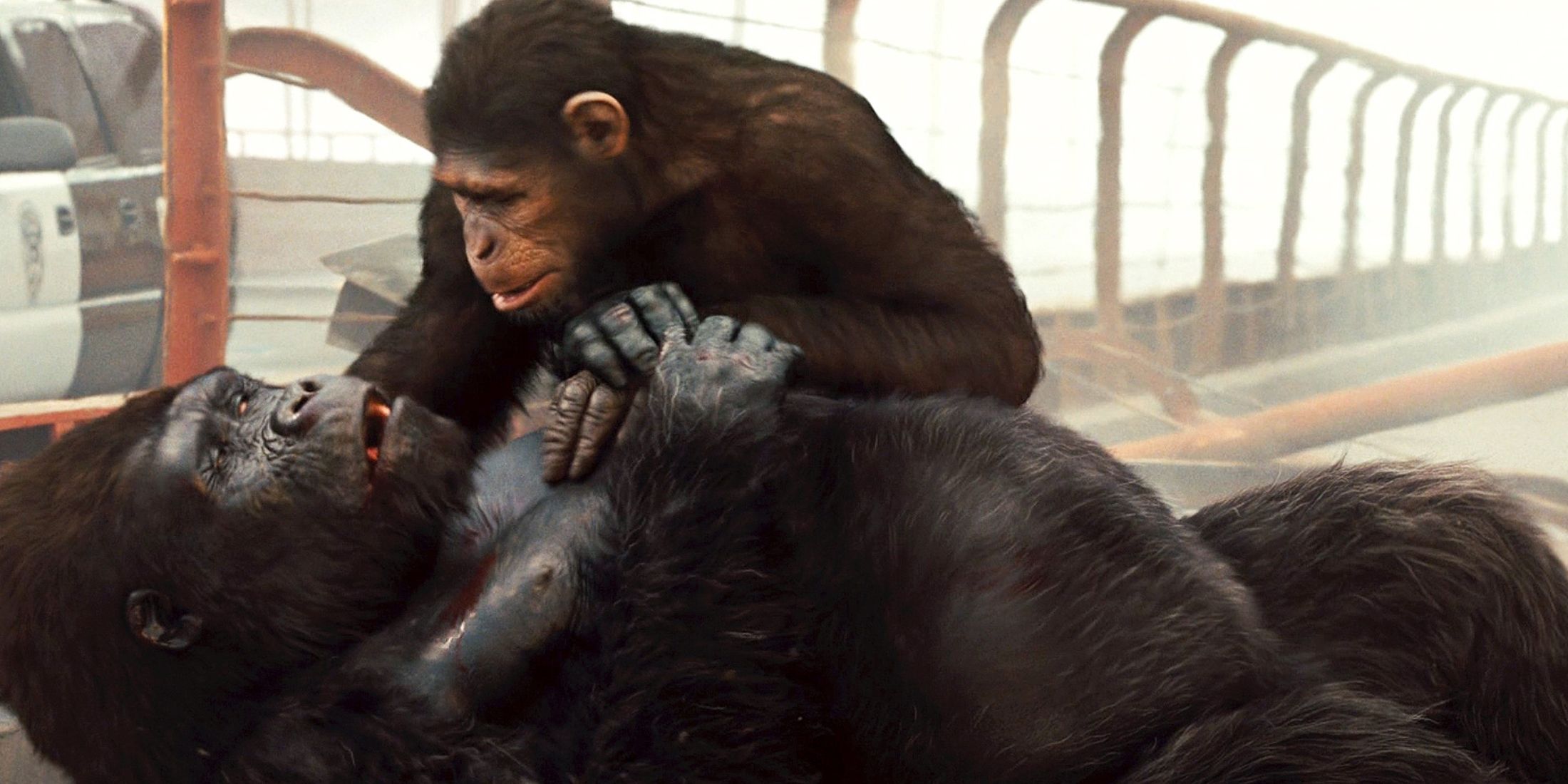 Buck In Rise Of The Planet Of The Apes