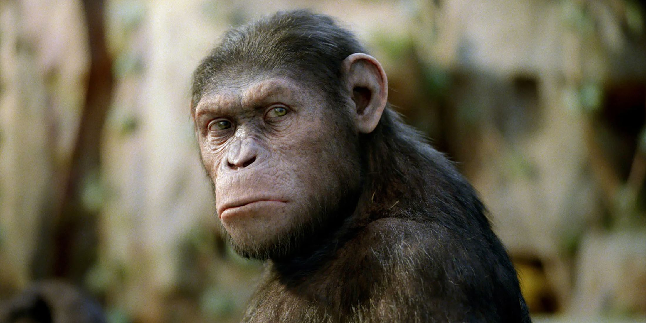 Caesar In Rise Of The Planet Of The Apes