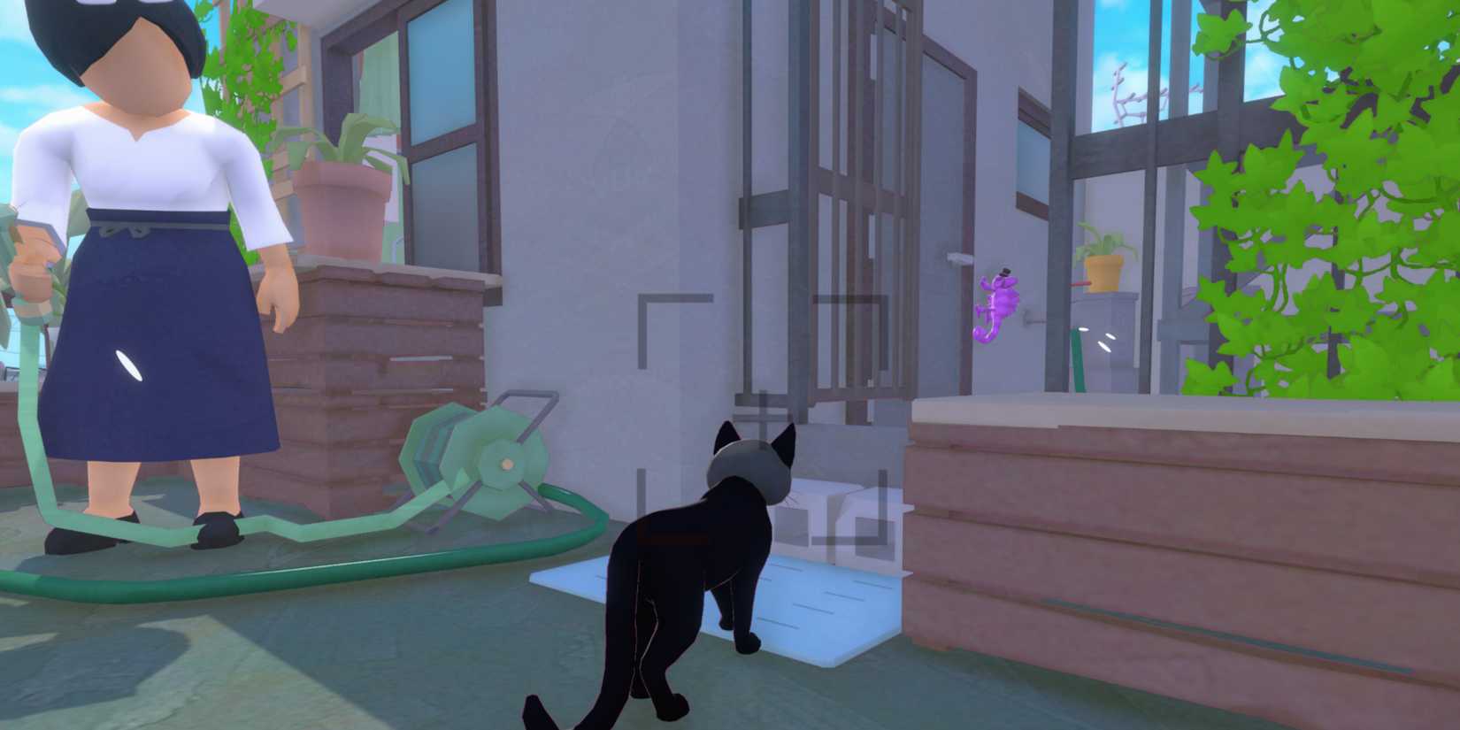 chameleon location 5 little kitty big city