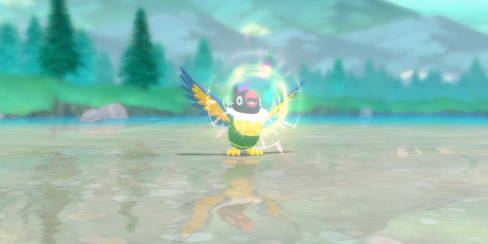 Chatter Pokemon Move