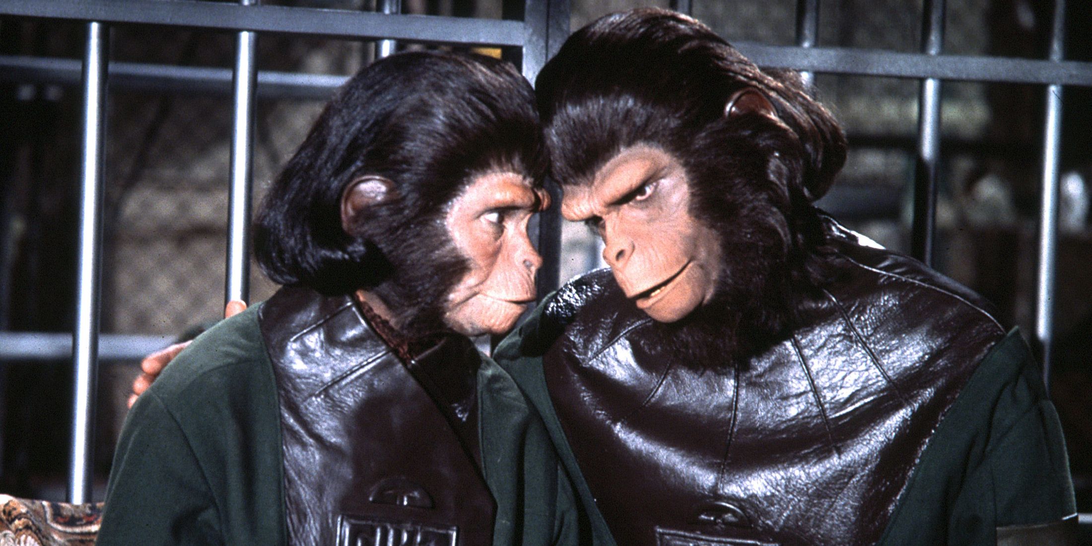Cornelius And Zira In Escape From The Planet Of The Apes