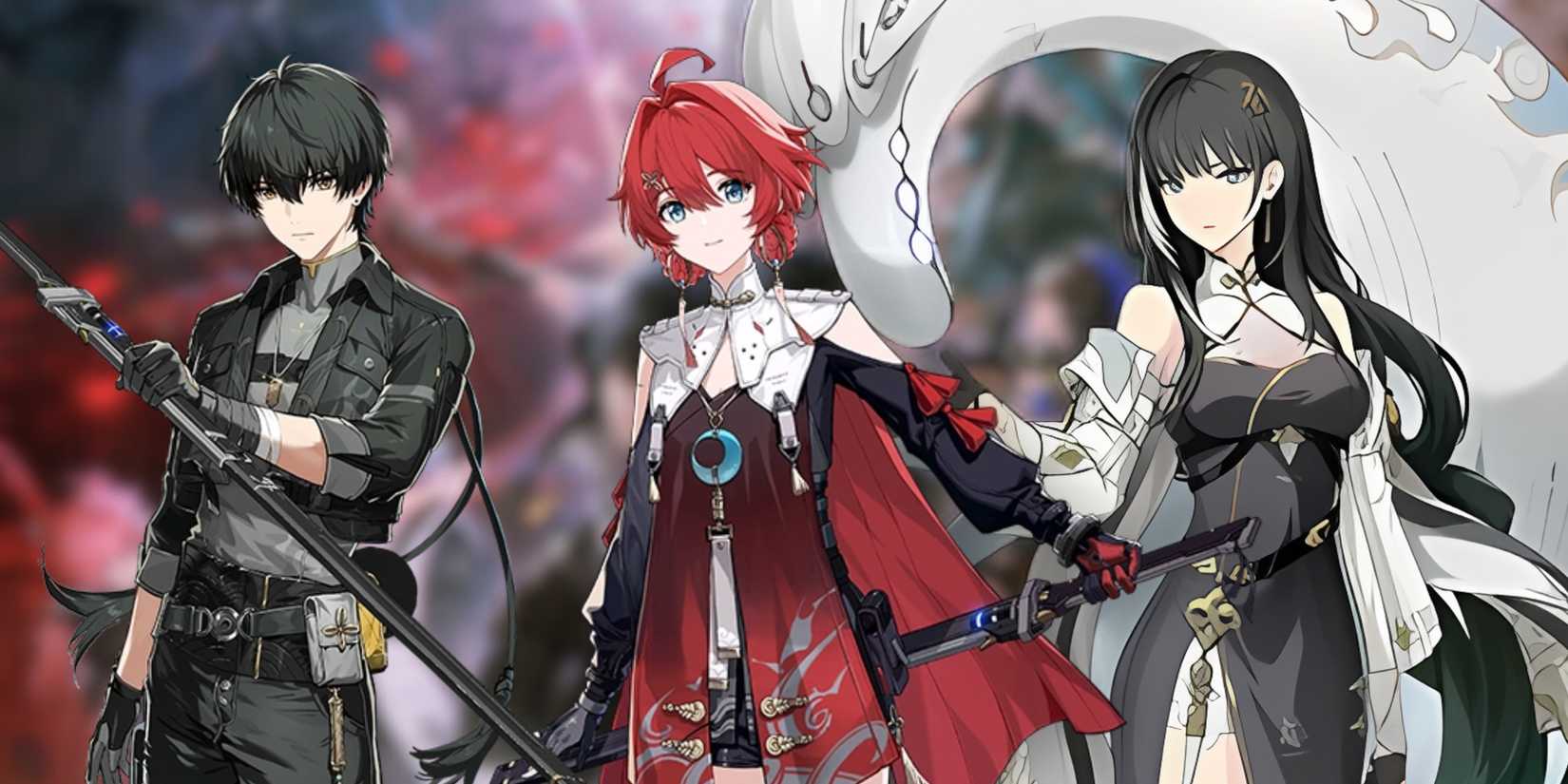 Danjin + Havoc Rover + Baizhi team composition in wuthering waves