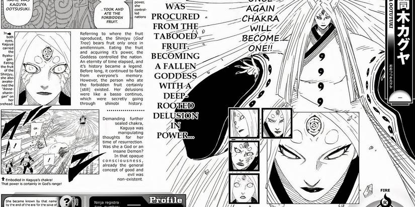 Kaguya's Databook Entry