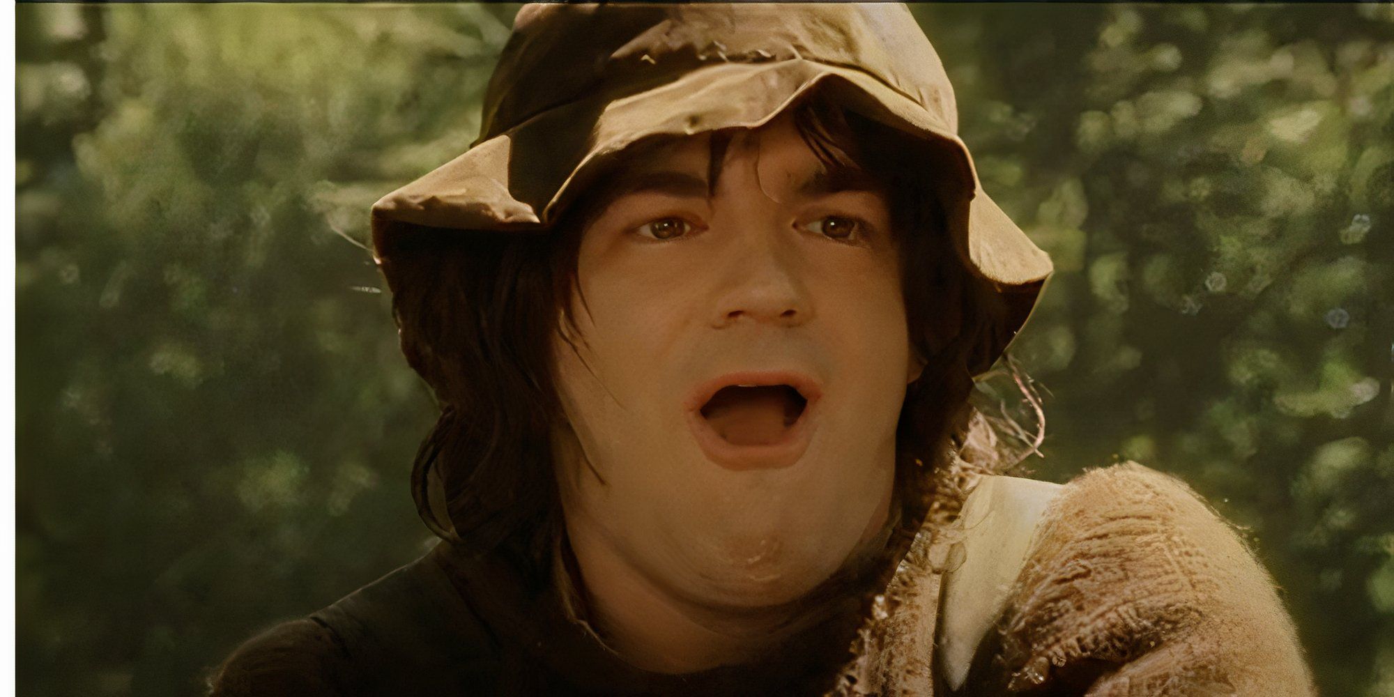 Most Important Hobbits In The Lord Of The Rings