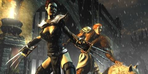 Diablo 2 Assassin and Druid