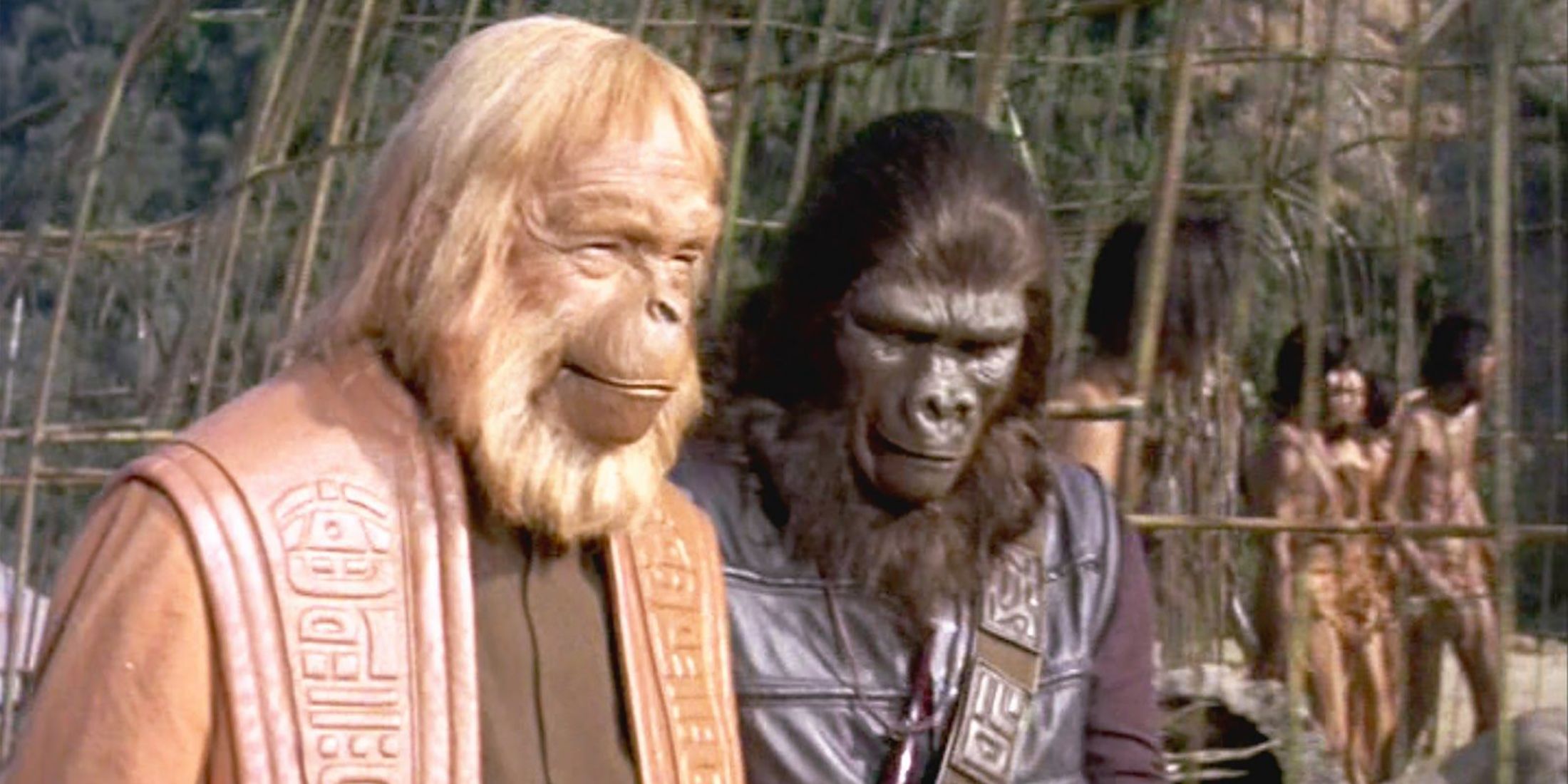 Doctor Zaius In Planet Of The Apes 1968