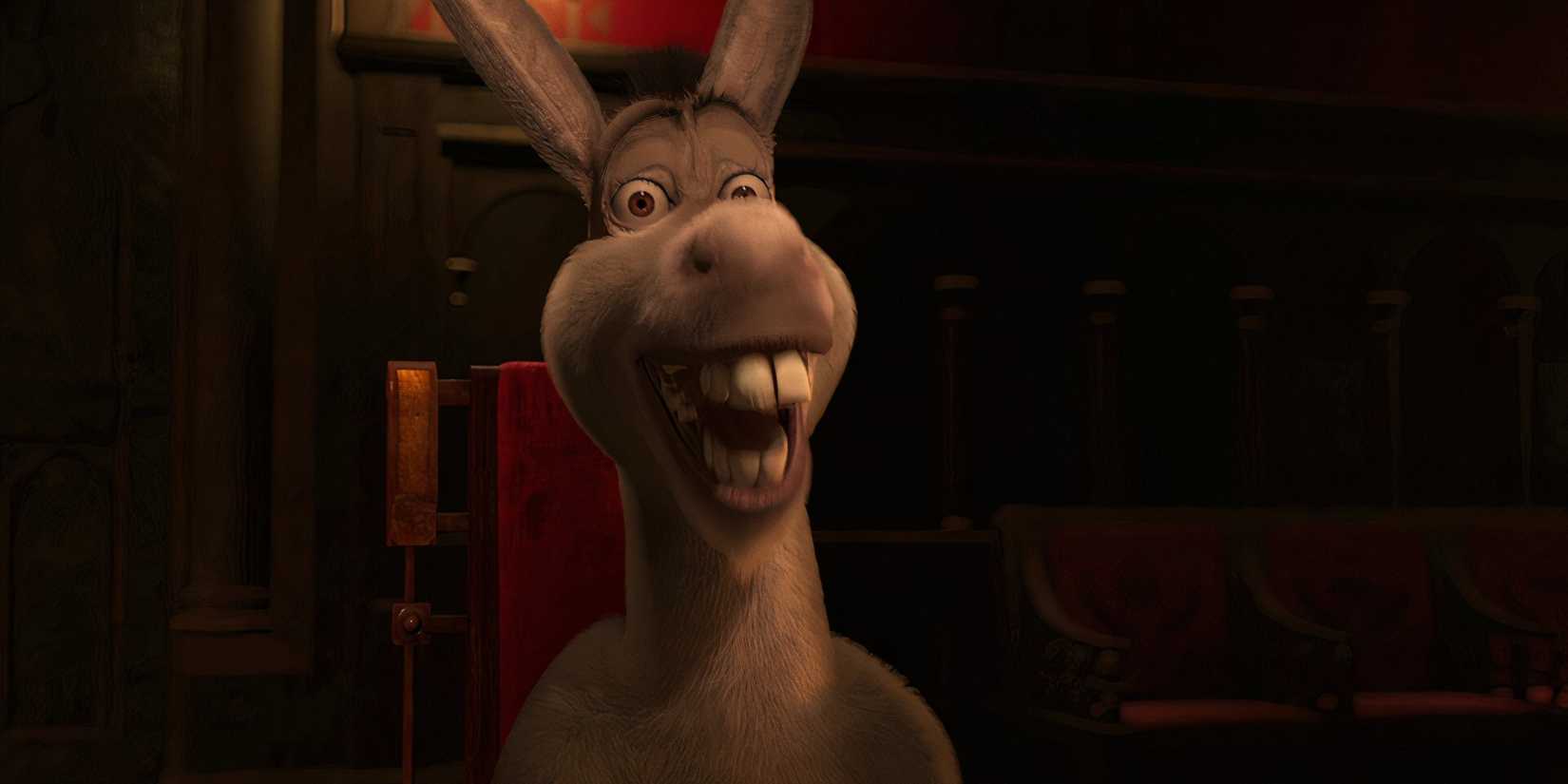 Donkey smiling wide