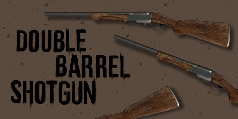 Double Barrel Shotgun