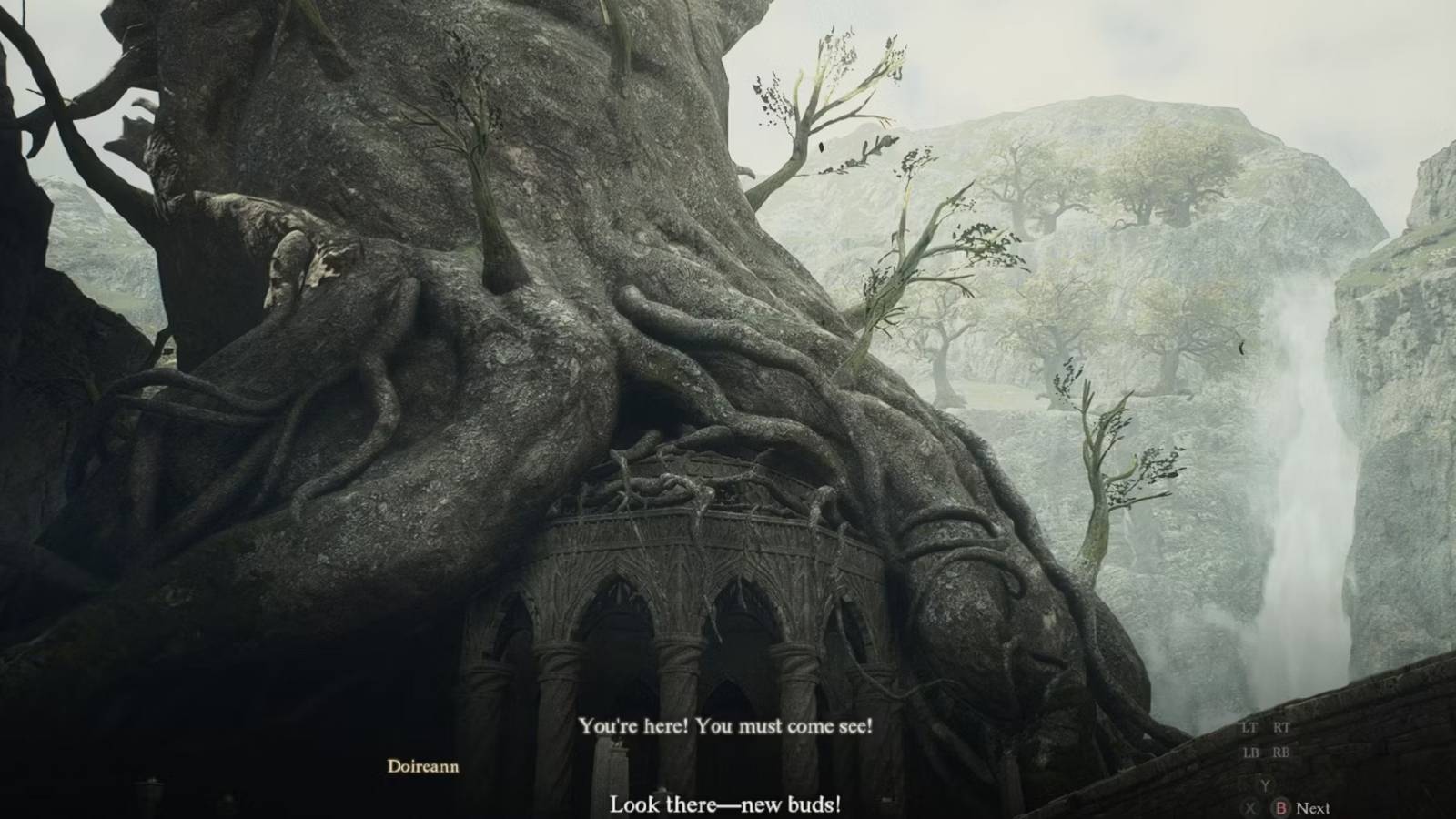 Dragon's Dogma 2 Forest Forge