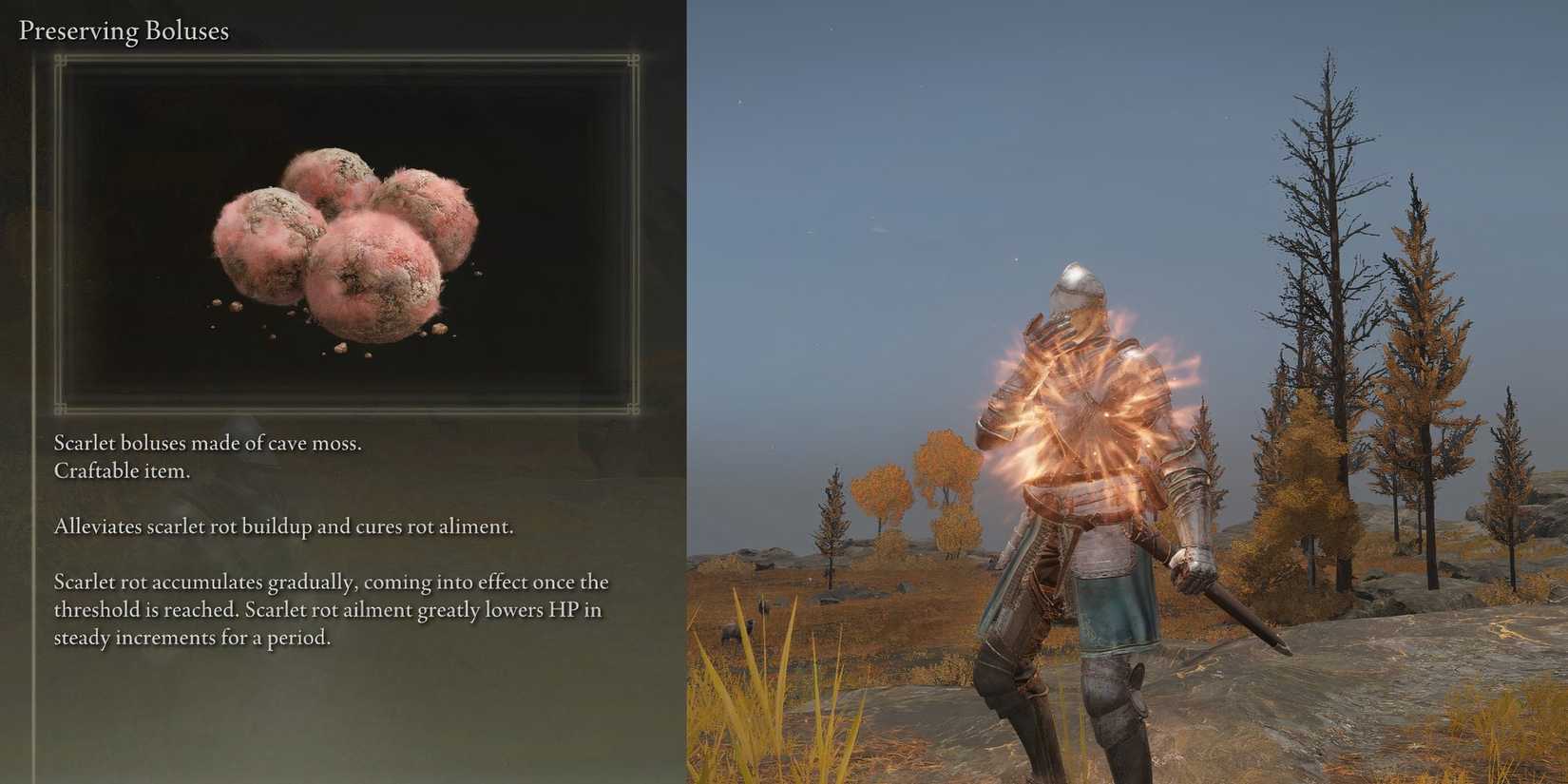 elden ring preserving boluses