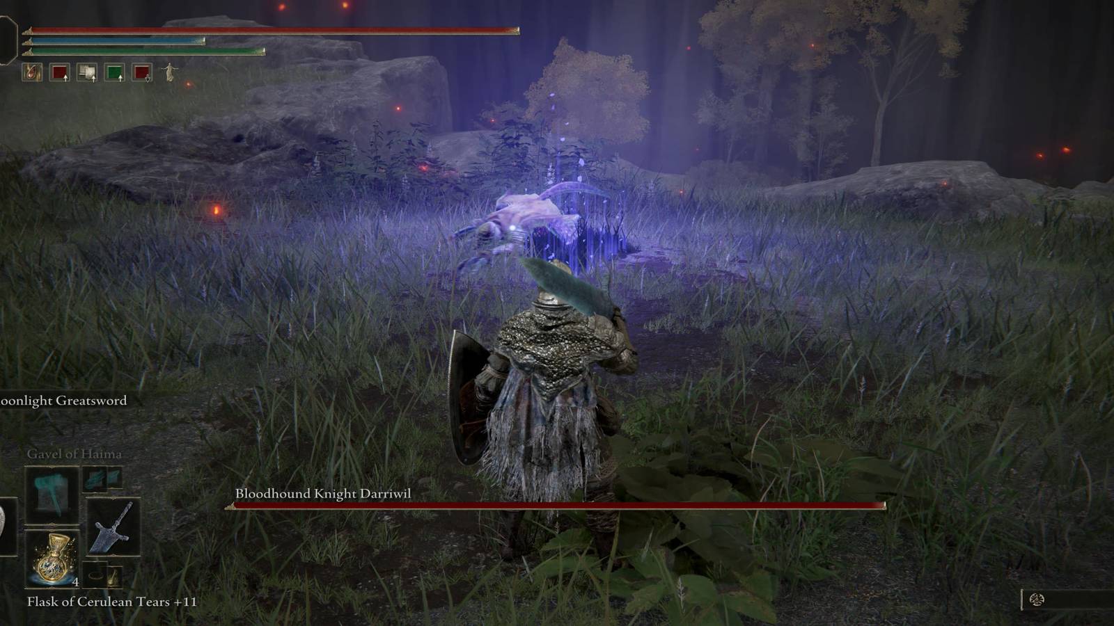 Bloodhound Knight Darriwil Spawning In The Evergaol 