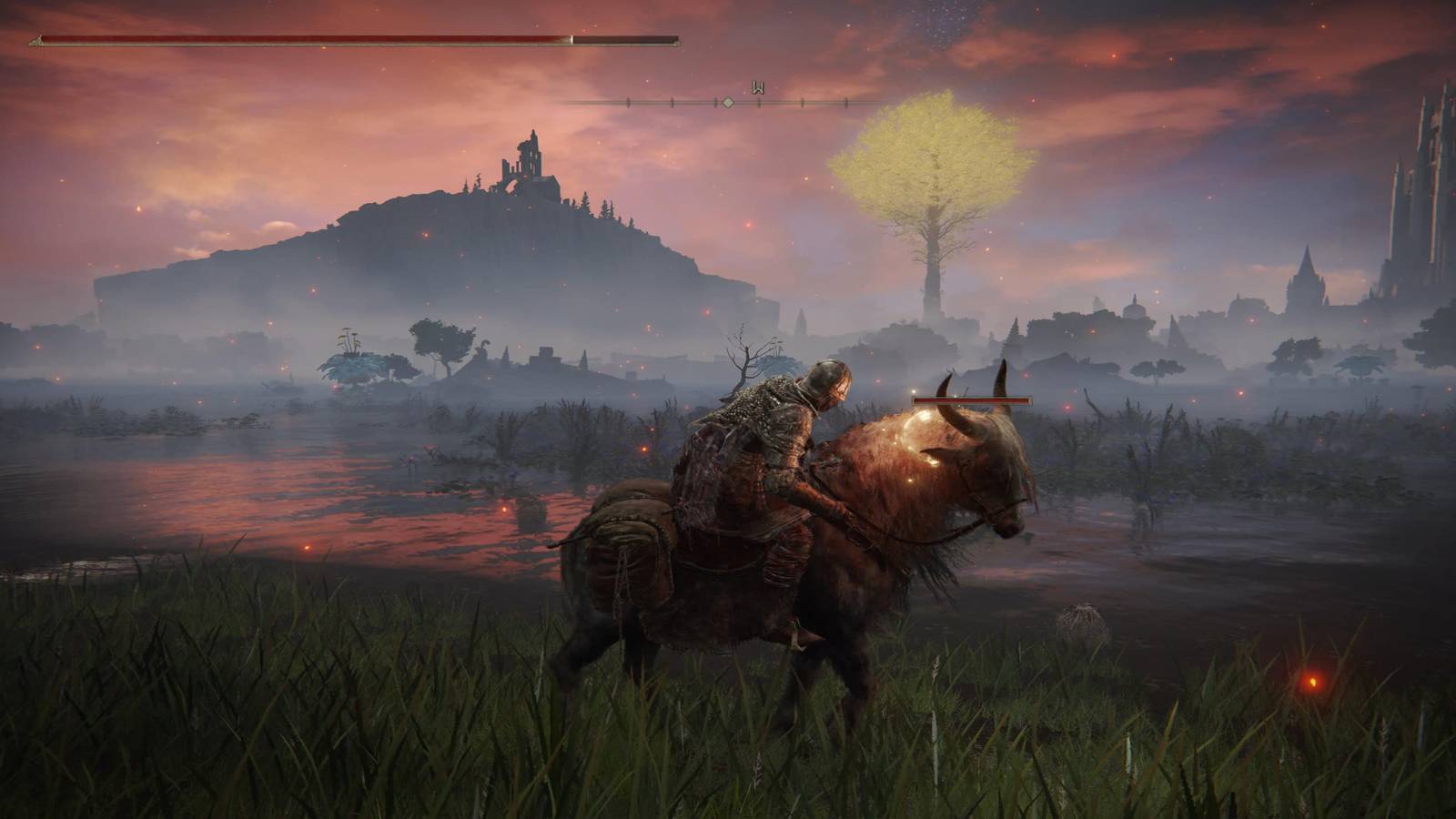 The Player Feeding A Rowa Raisin To Torrent 