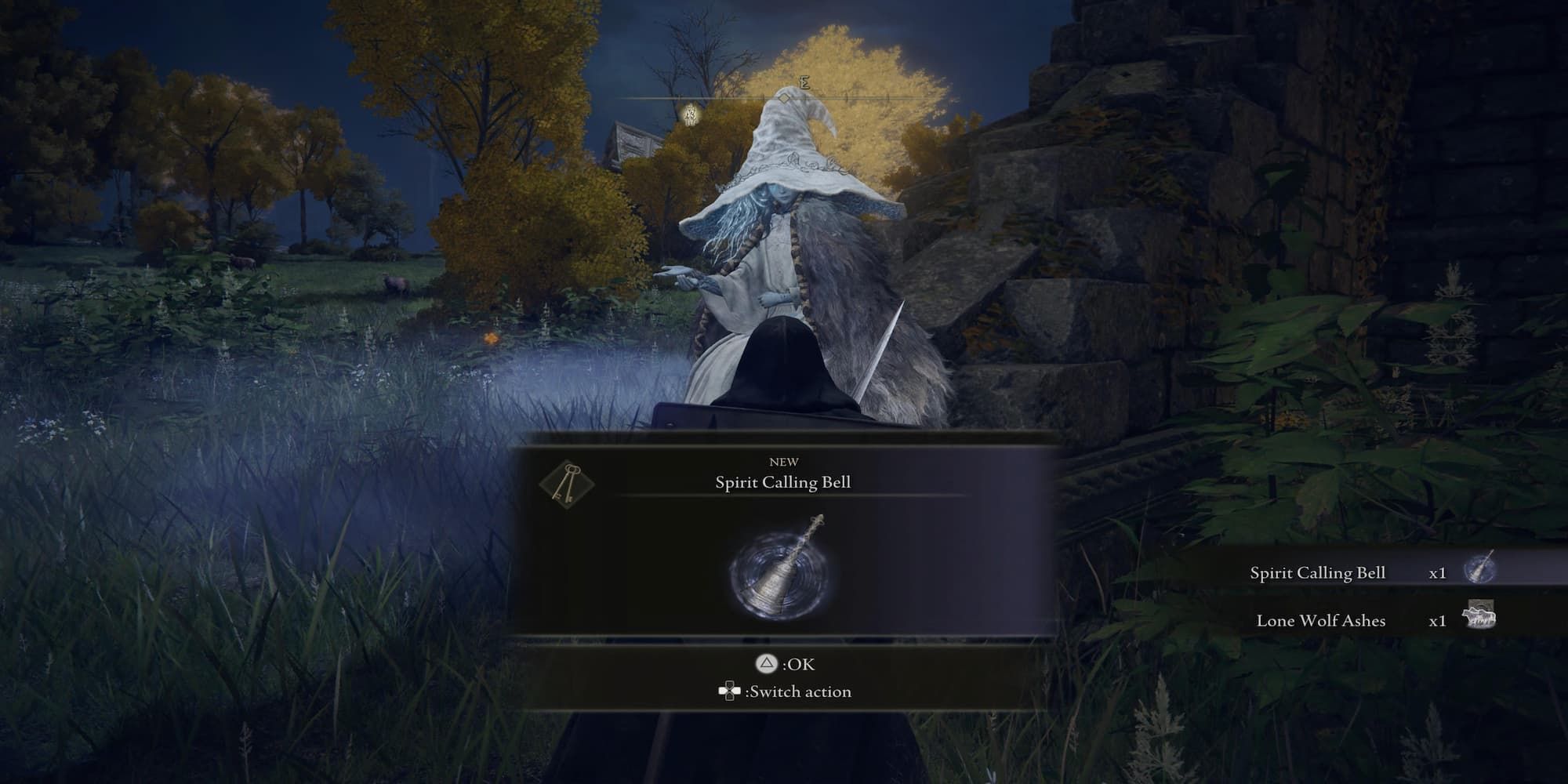 Things You Should Do First In Elden Ring