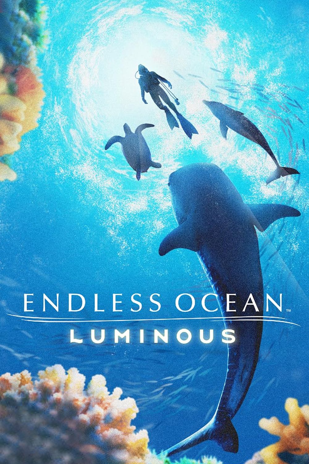 endless-ocean-luminous-cover