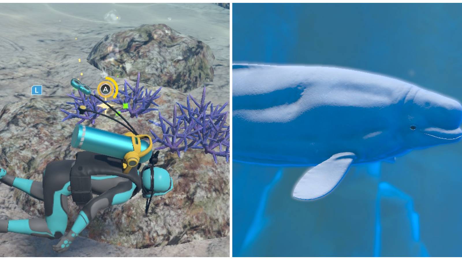 Split image of some salvage on the sea floor and a whale in Endless Ocean Luminous