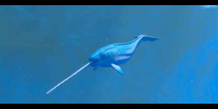 Image of a narwhal in Endless Ocean Luminous