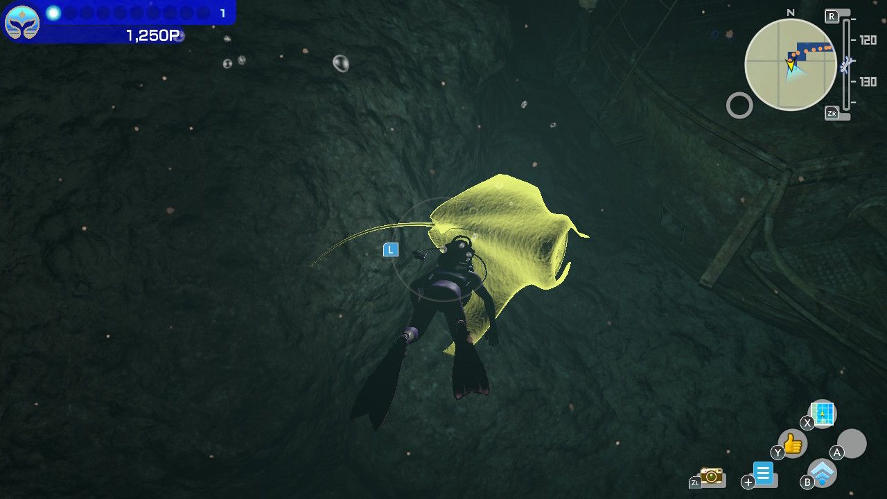 How to Stop Camera Zooming After Scanning in Endless Ocean Luminous