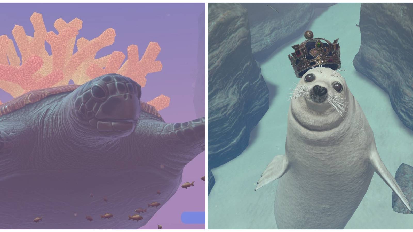 Split image a UML turtle and UML seal in Endless Ocean Luminous