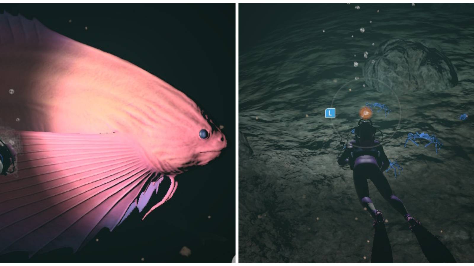 Split image of a UML creature and a search for a UML in Endless Ocean Luminous