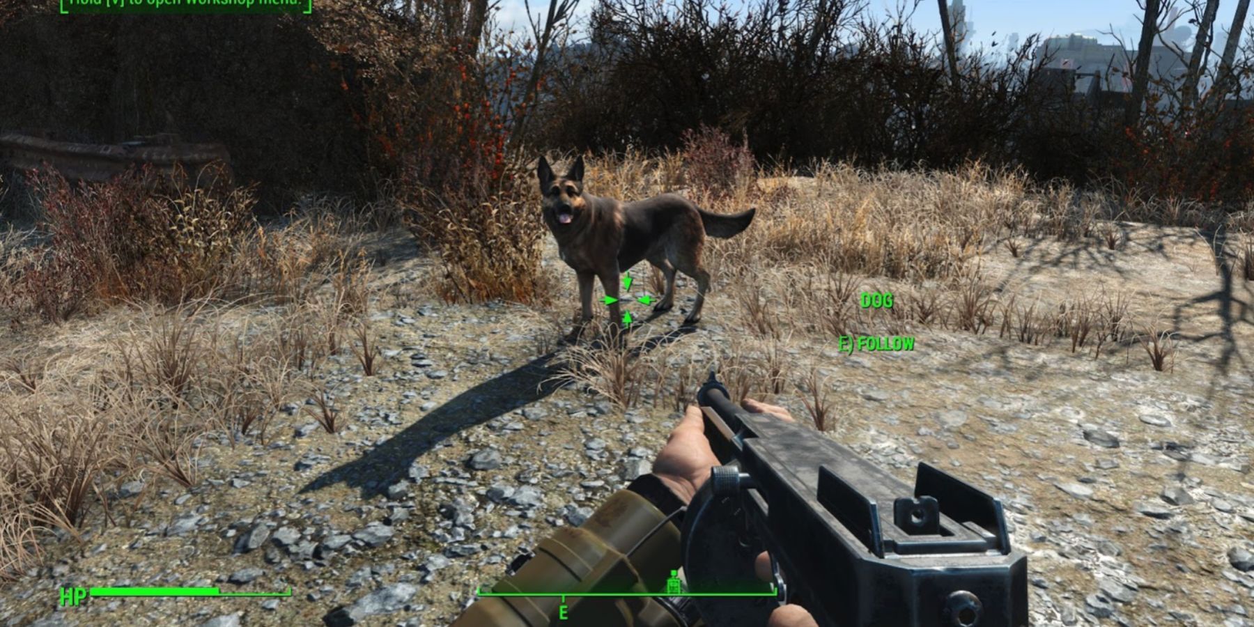 Fallout 4 dog