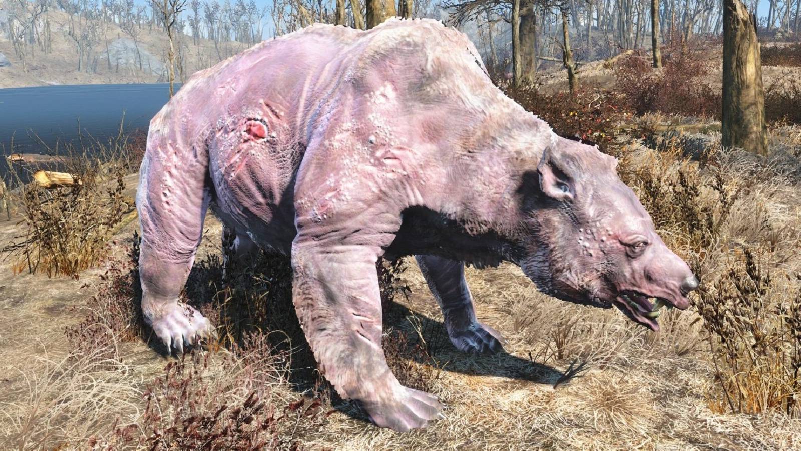 fallout-4-yao-guai-feature