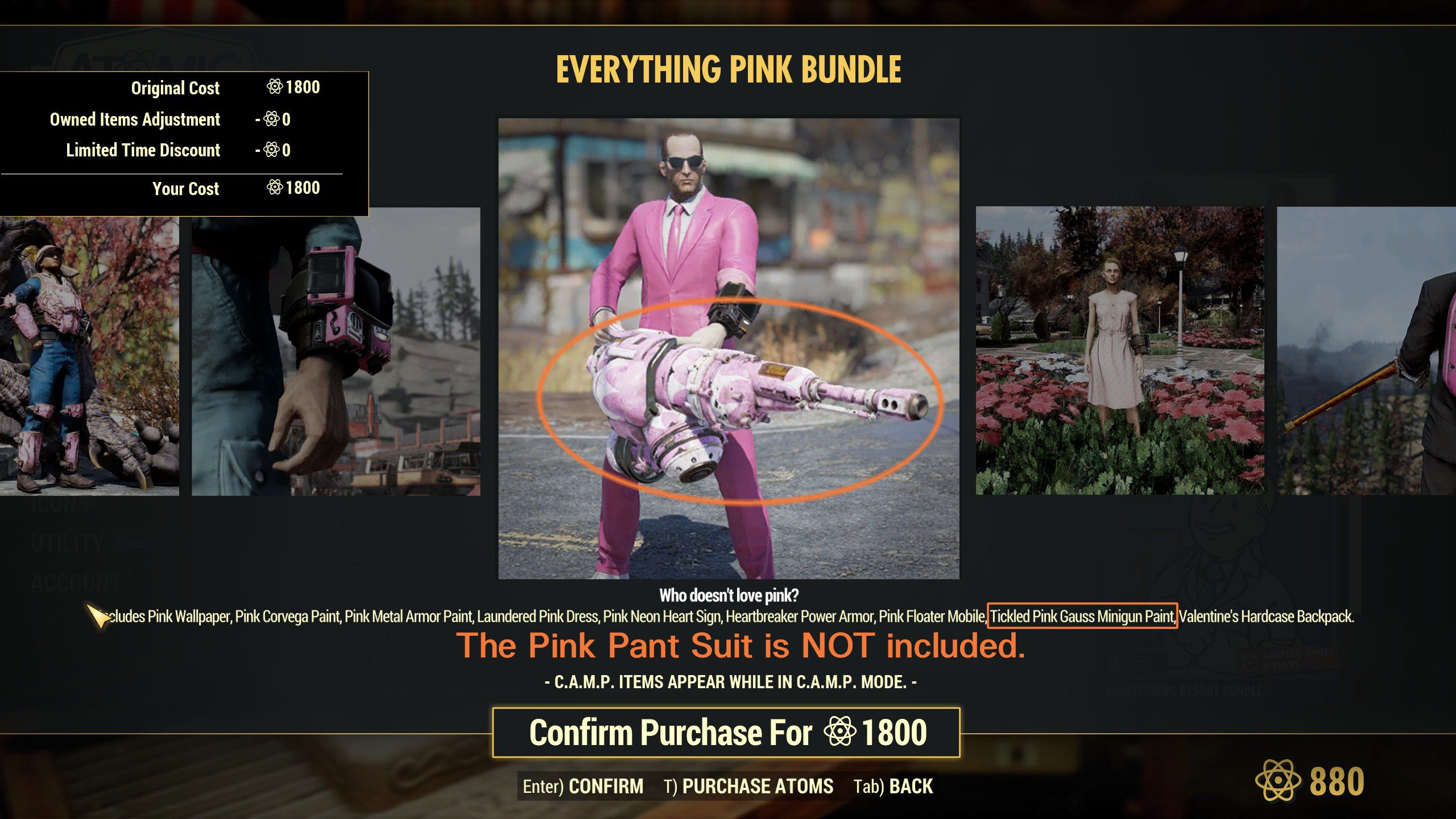 PINK hotsell BUNDLE