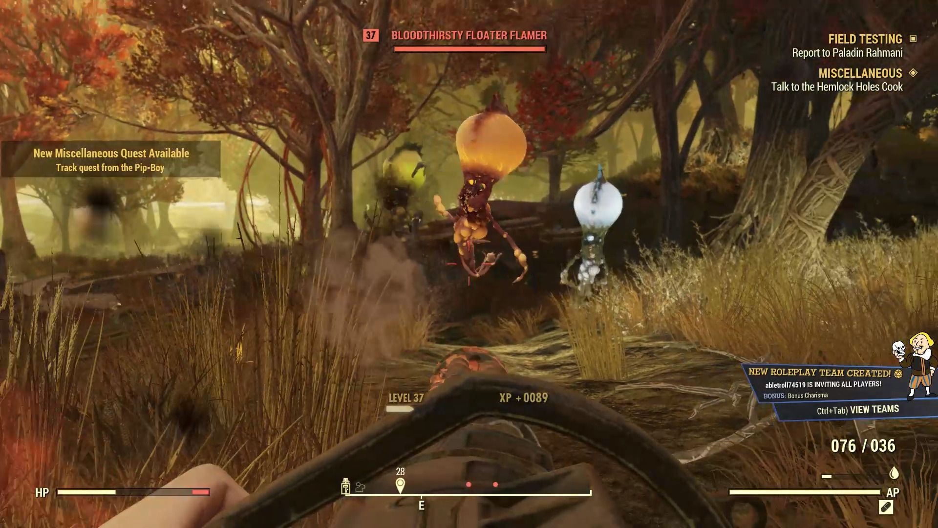 Image of some floaters in Fallout 76