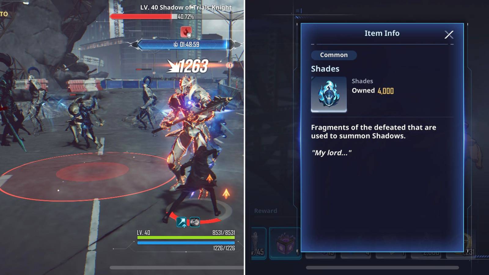 Shadows Fighting & Shades In The Item Menu 