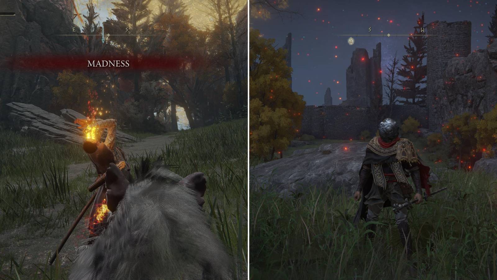 The Player Suffering From Madness & A Good Anti-Madness Build