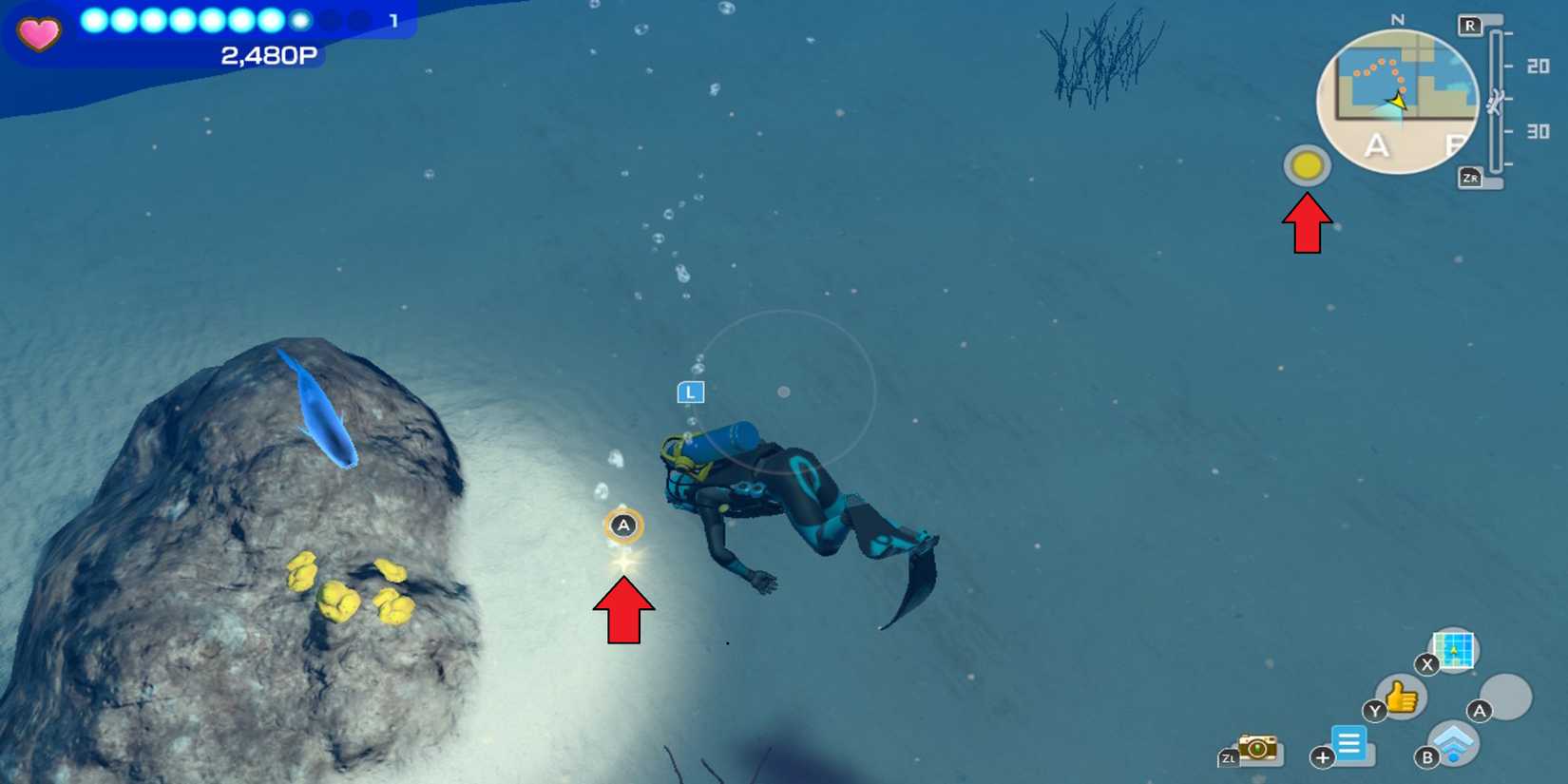 Flashing Yellow Circle Endless Ocean Luminous