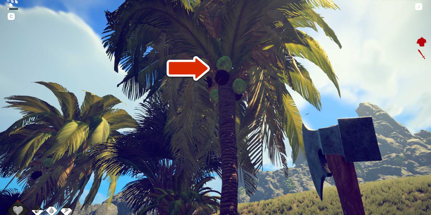 green coconut on palm tree in survival fountain of youth