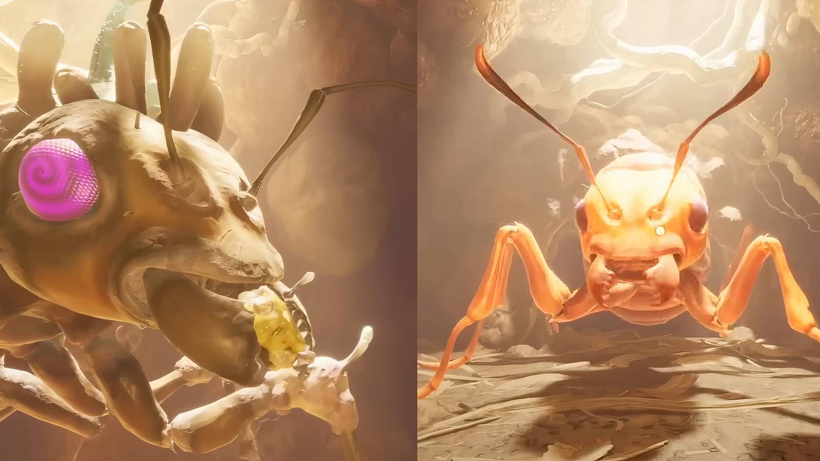 Grounded Ant Queen Locations