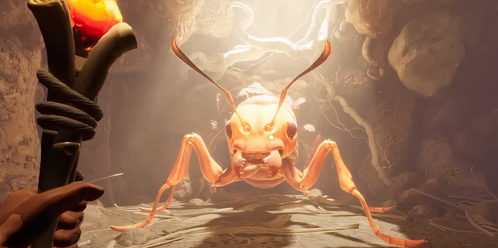 Grounded Ant Queen Red