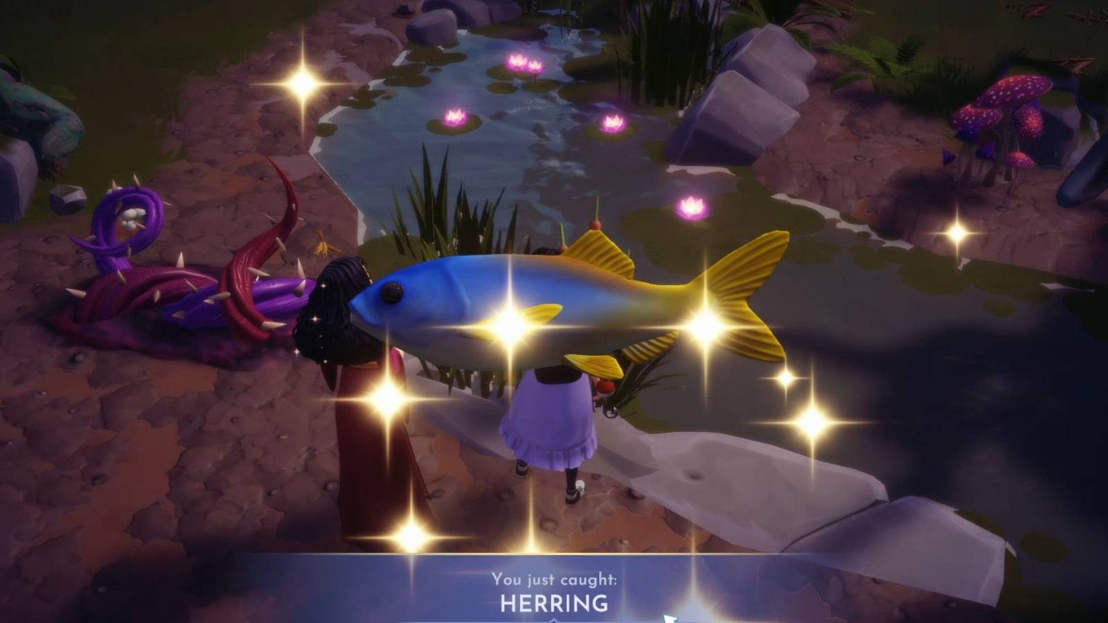 herring location ddv