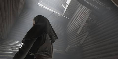 Indika climbing the stairs to the bull room