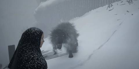 Indika encounters the dog for the first time