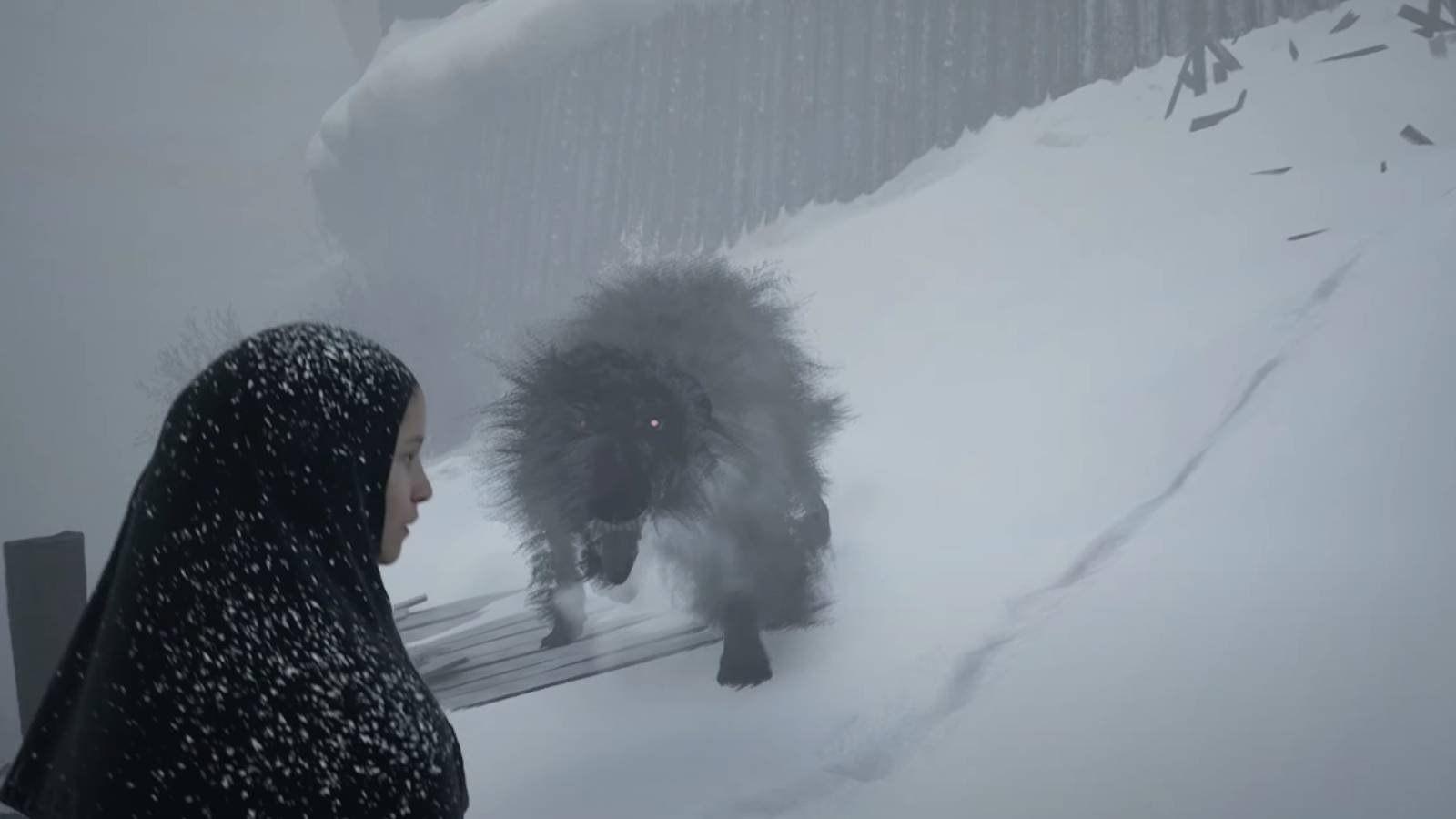 Indika encounters the dog for the first time