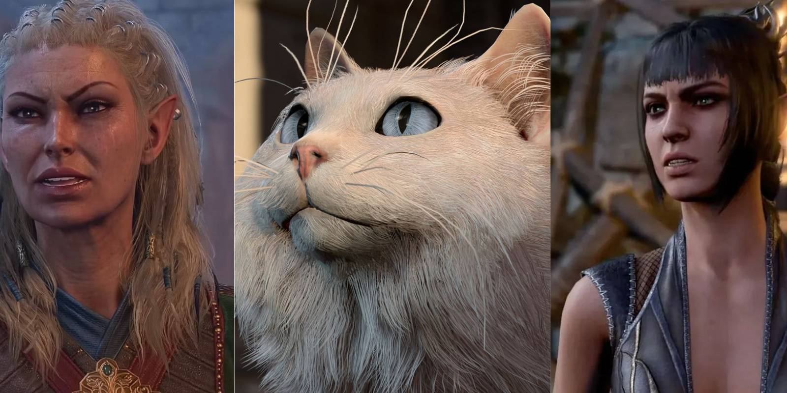 Jaheira Myshka Shadowheart Baldur's Gate 3