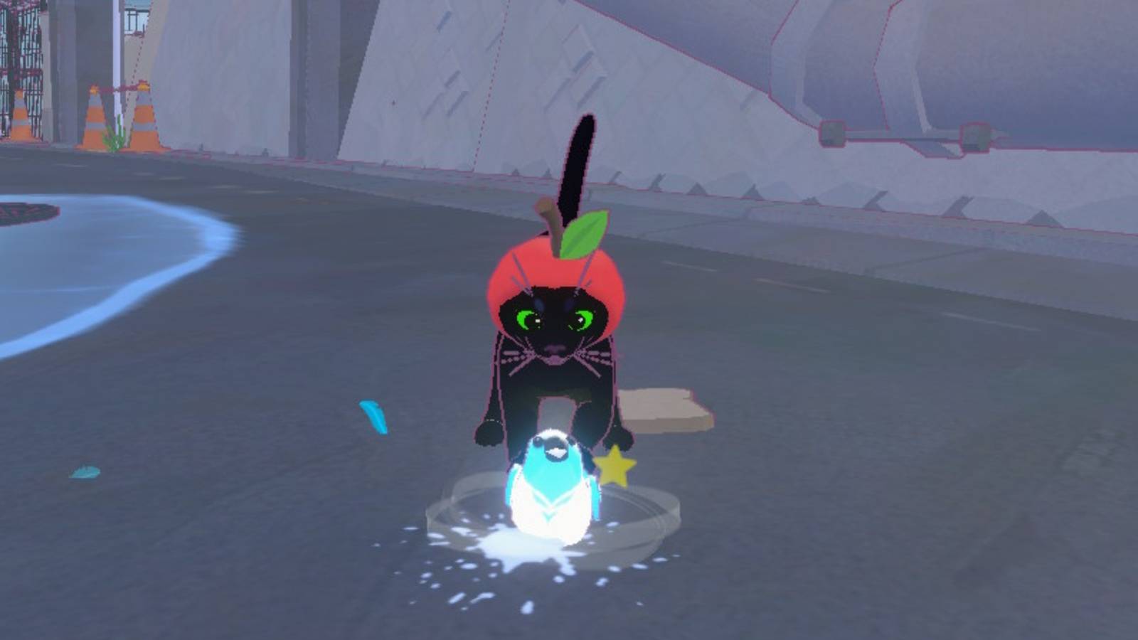 kitty catches bird little kitty big city