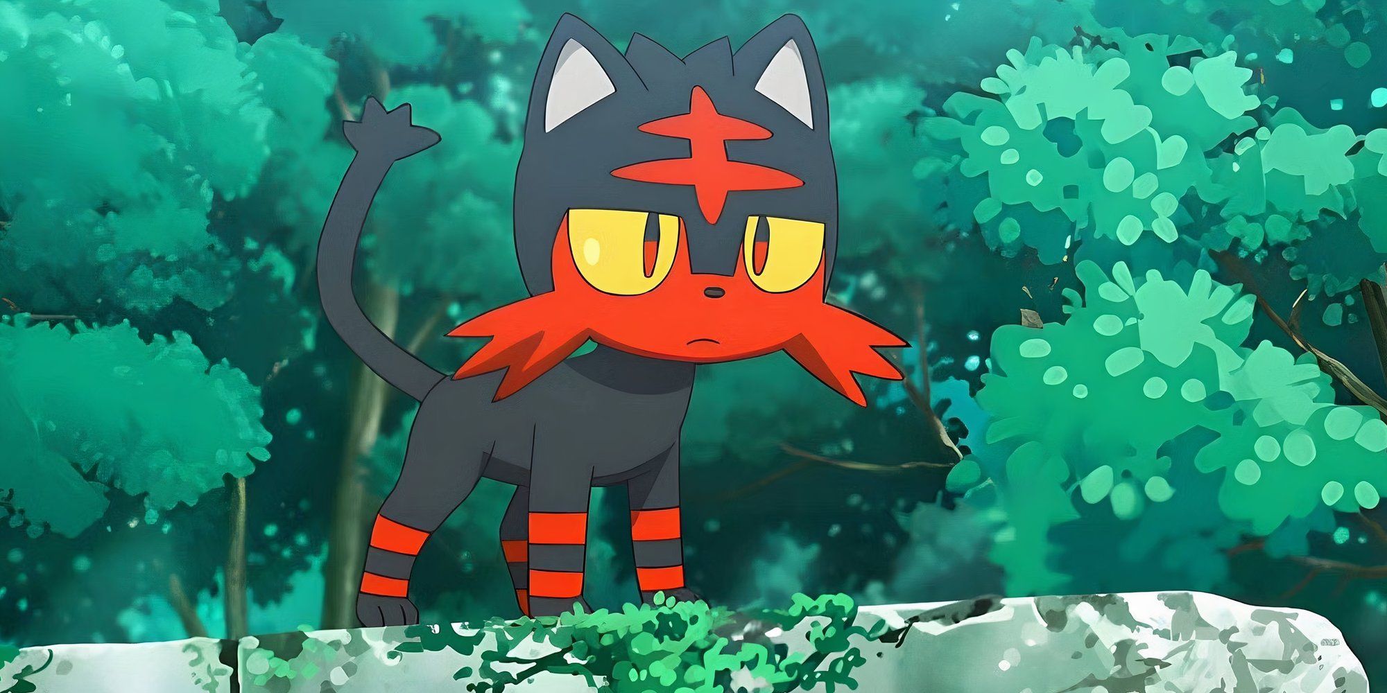 Litten In The Pokemon Anime