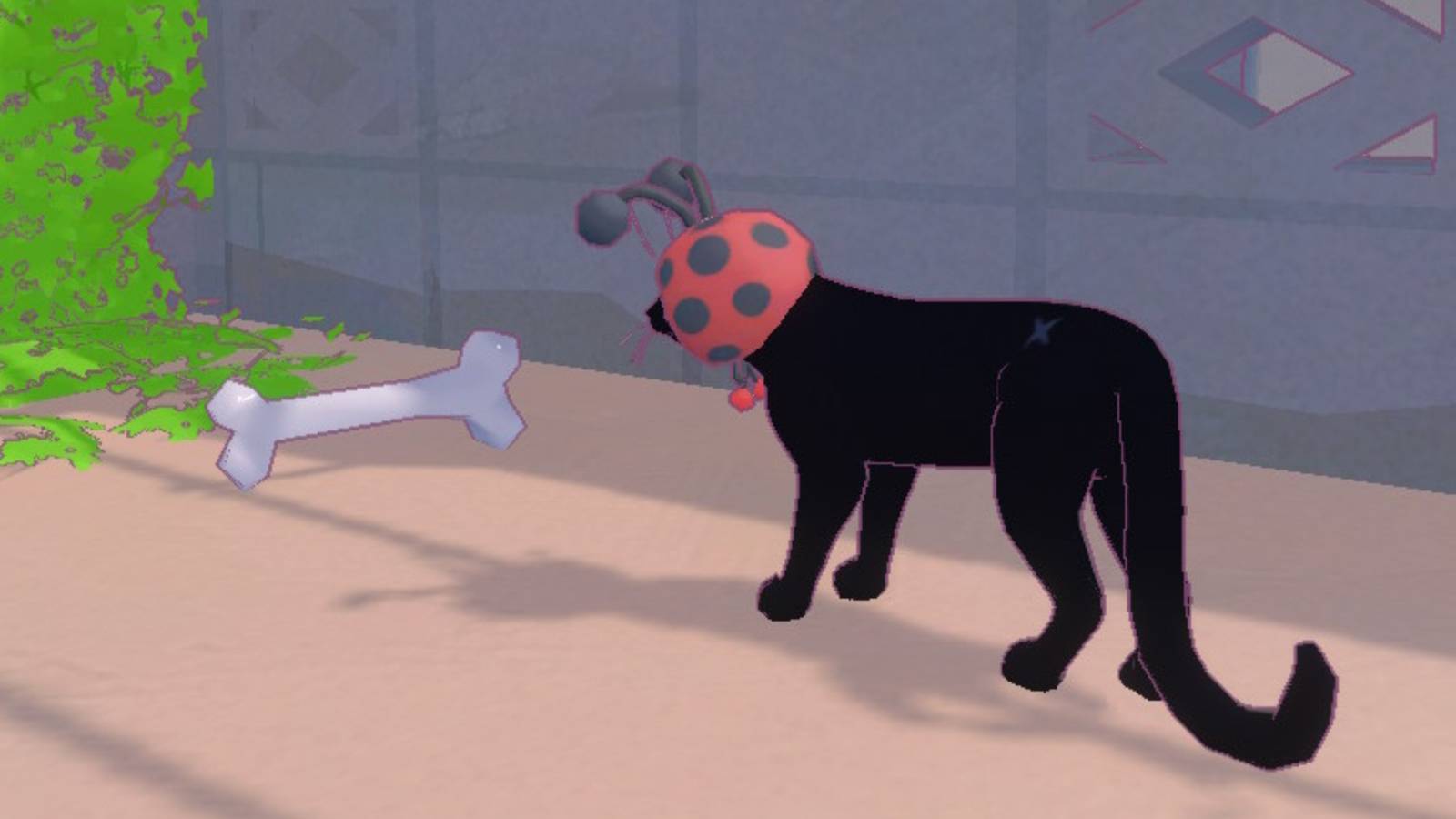 little kitty, big city bone