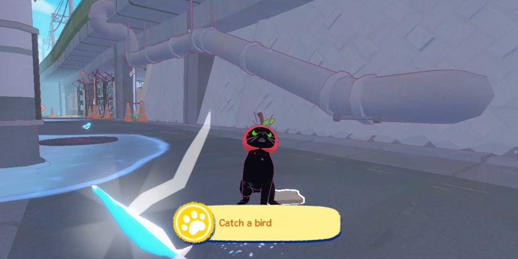 little kitty big city catch a bird