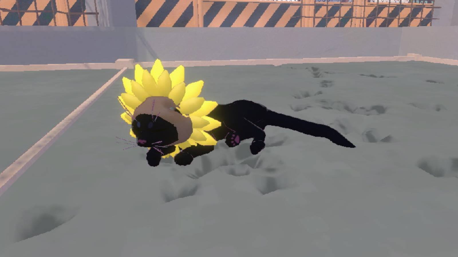 little kitty big city concrete