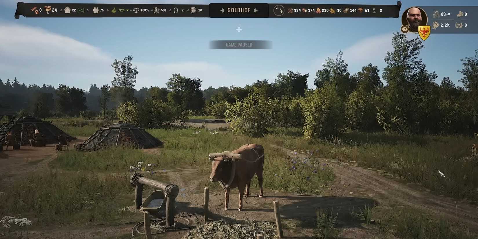 Showcasing an oxen in Manor Lords