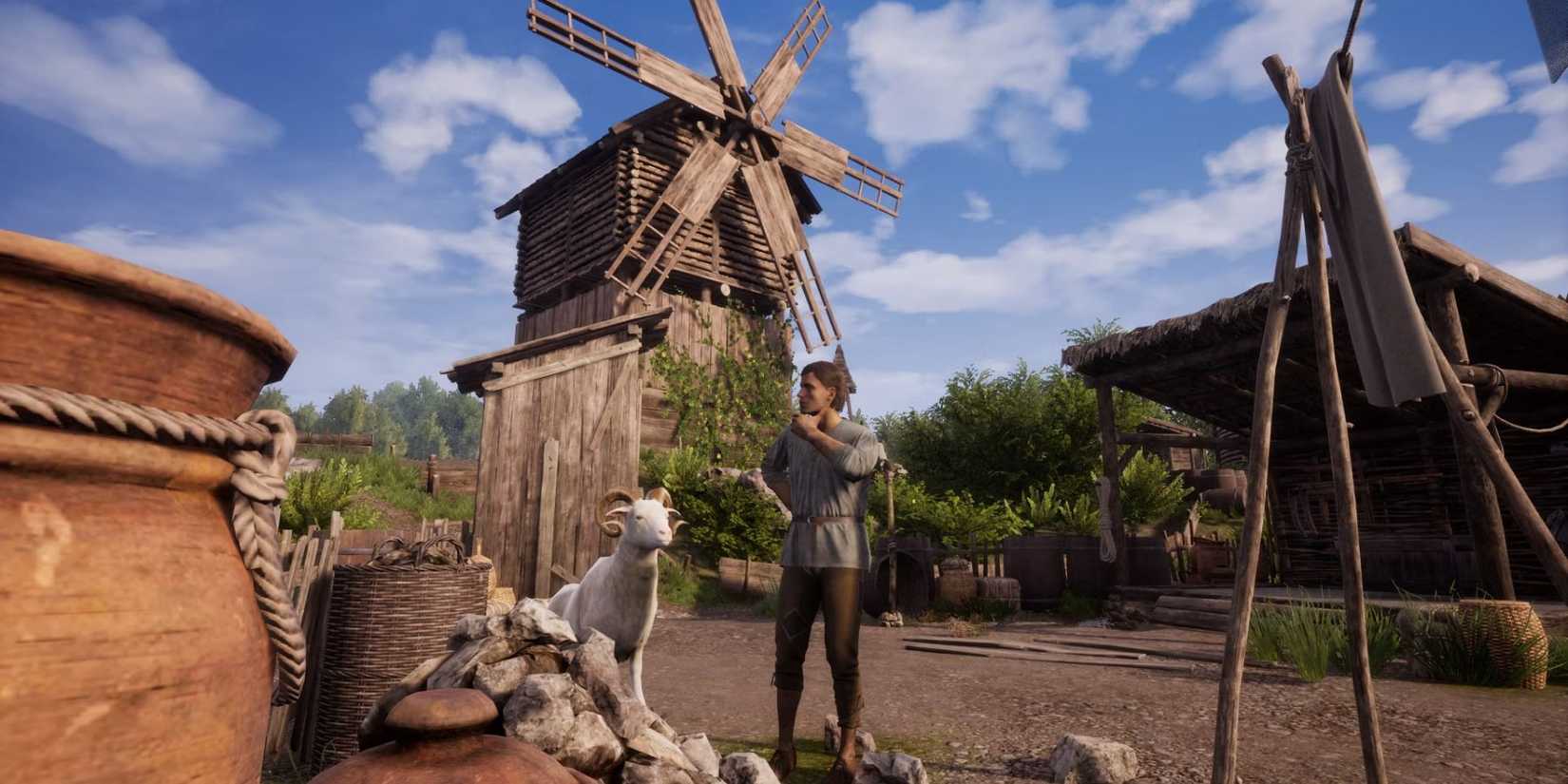 medieval-dynasty-coop-14