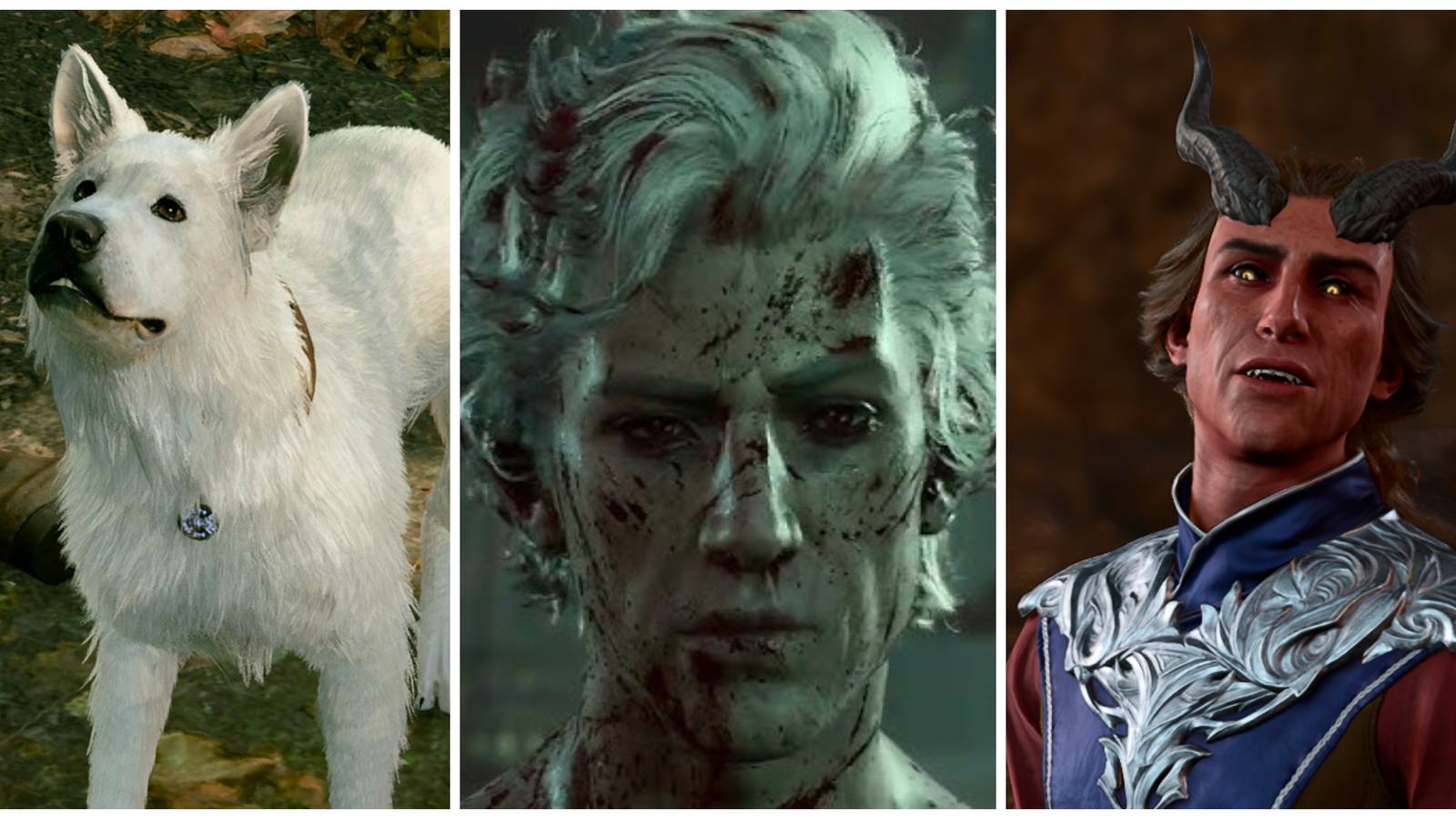 scratch the dog, astarion, rolan