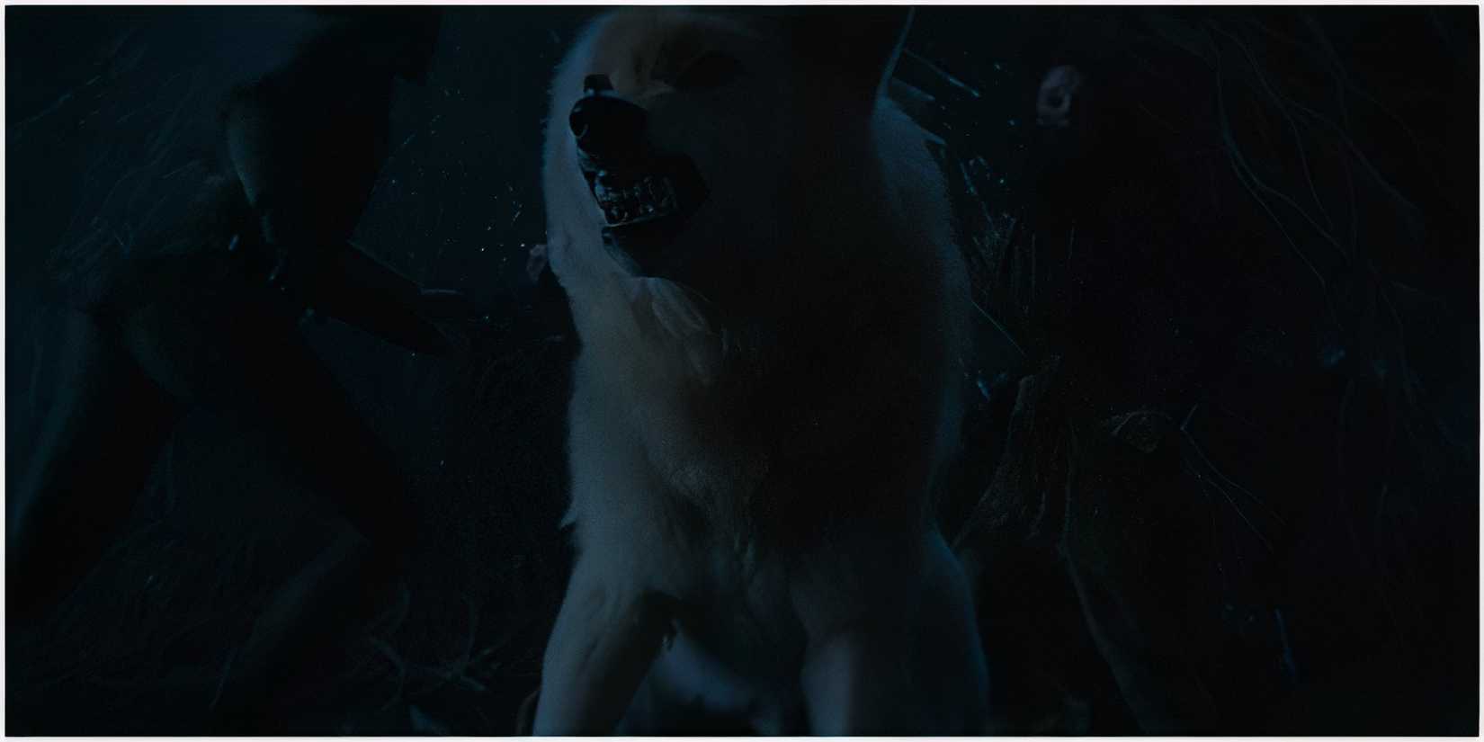 Summer in Game of Thrones.