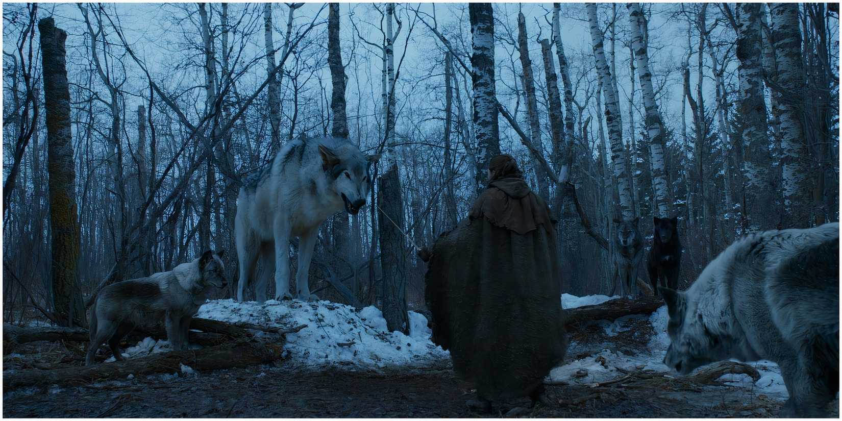Nymeria and Arya in Game of Thrones.